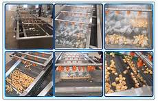 Vegetable Processing Machine