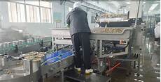 Vegetable Processing Machine