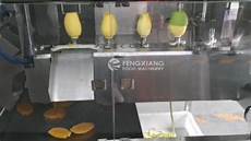 Vegetable Slicing Machine