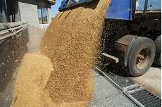 Wheat Impact Scourer