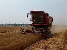 Wheat Machine